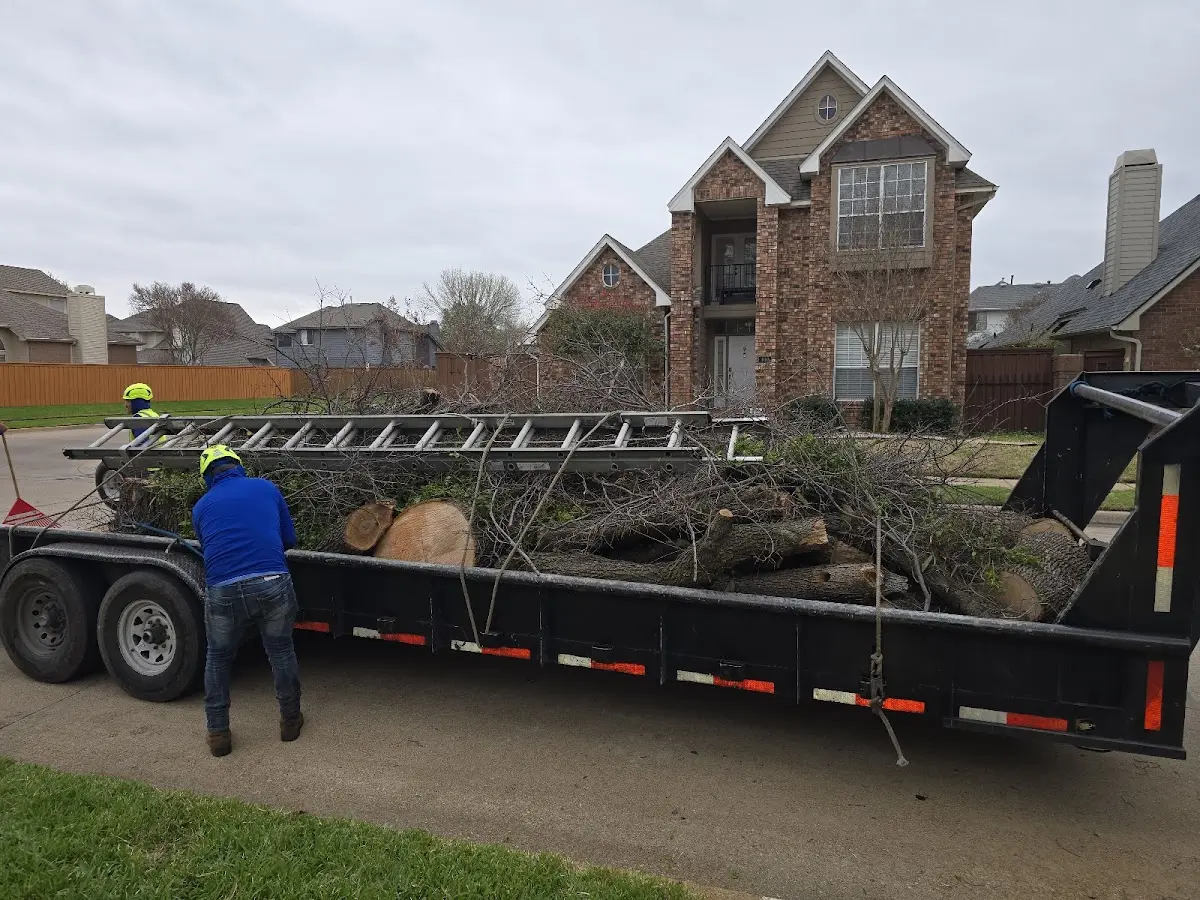 Expert Tree Fertilization with proper safety equipment in Harris